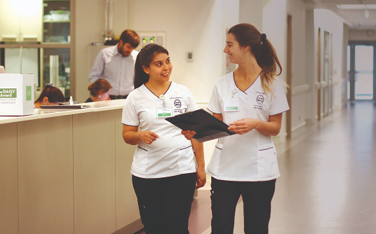 Kinesiologia UANDES