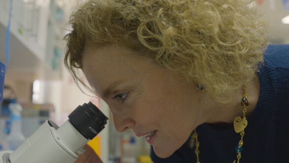 Investigación Odontología _ Universidad de los Andes (1)